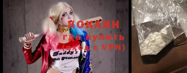 сатива Аркадак