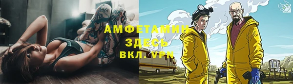 гидра Арсеньев