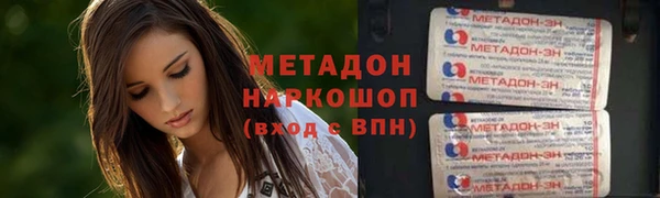 прущие грибы Армянск