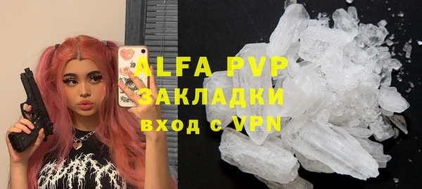 сатива Аркадак