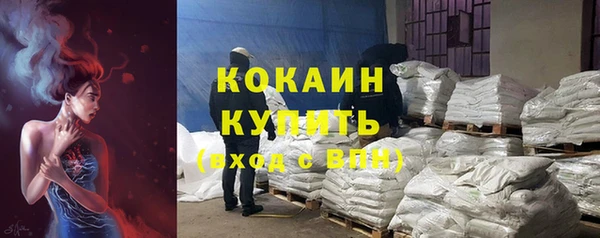 прущие грибы Армянск