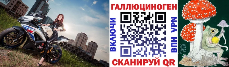 Псилоцибиновые грибы Cubensis  Липки 